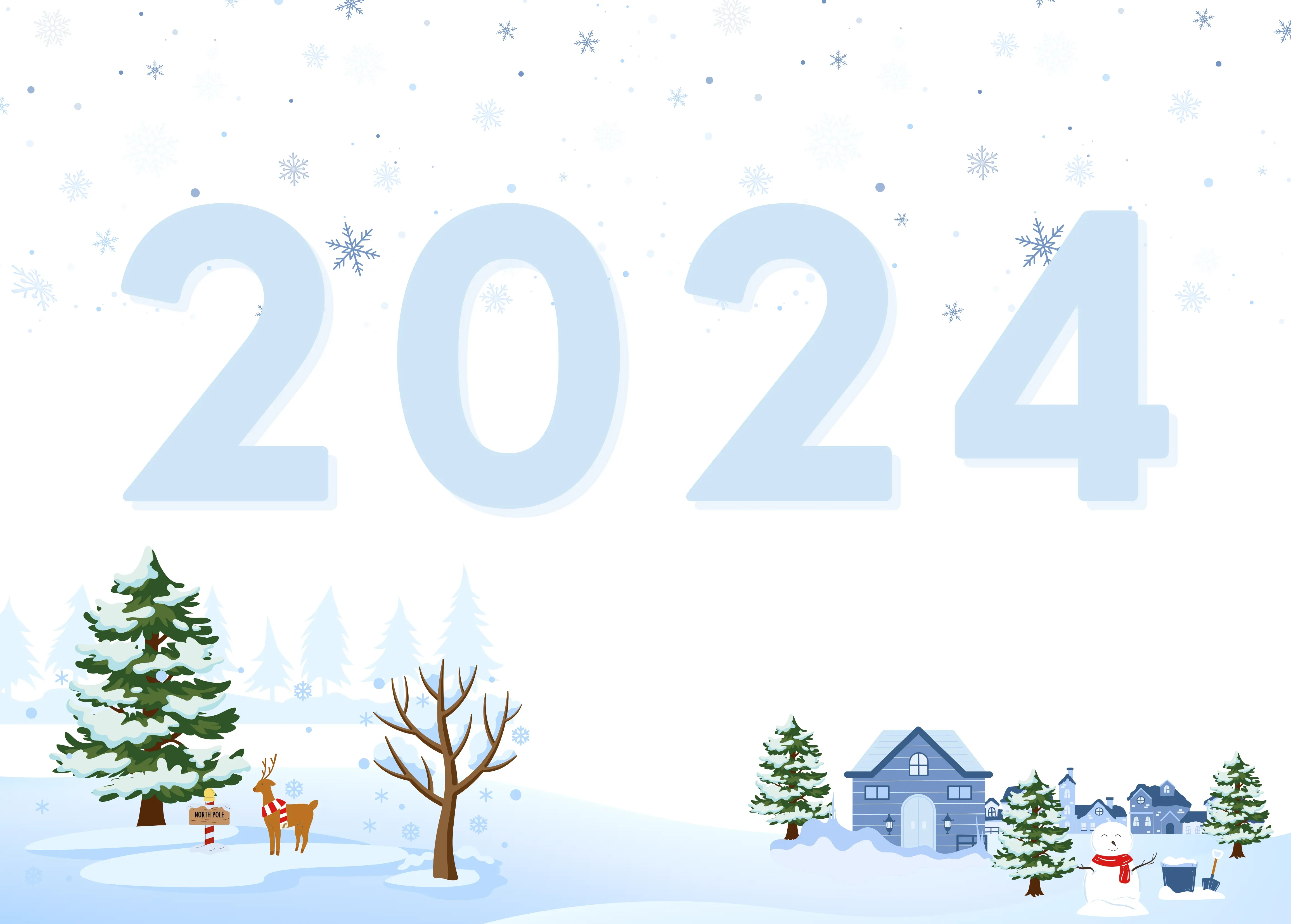 2024 Winter Snow Falling